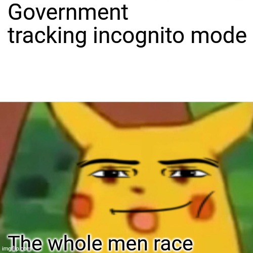Surprised Pikachu Meme | Government tracking incognito mode; The whole men race | image tagged in memes,surprised pikachu | made w/ Imgflip meme maker