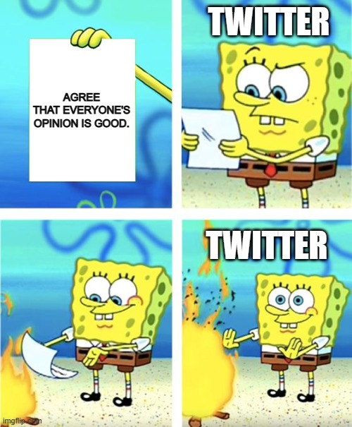 Twitter.... | TWITTER; AGREE THAT EVERYONE'S OPINION IS GOOD. TWITTER | image tagged in spongebob burning paper | made w/ Imgflip meme maker