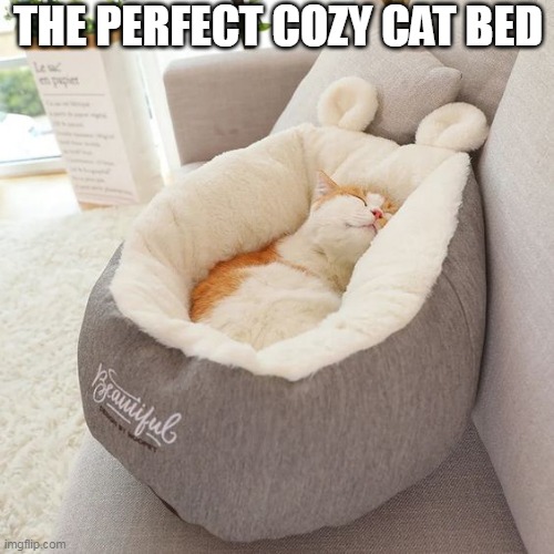 AND IT HAS A WARMER IN IT TOO! | THE PERFECT COZY CAT BED | image tagged in cats,funny cats | made w/ Imgflip meme maker