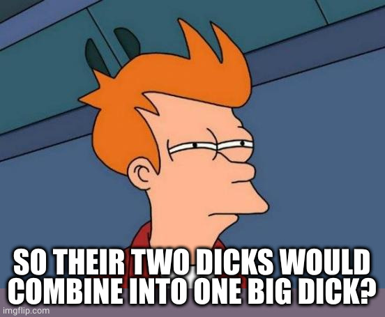 Futurama Fry Meme | SO THEIR TWO DICKS WOULD COMBINE INTO ONE BIG DICK? | image tagged in memes,futurama fry | made w/ Imgflip meme maker