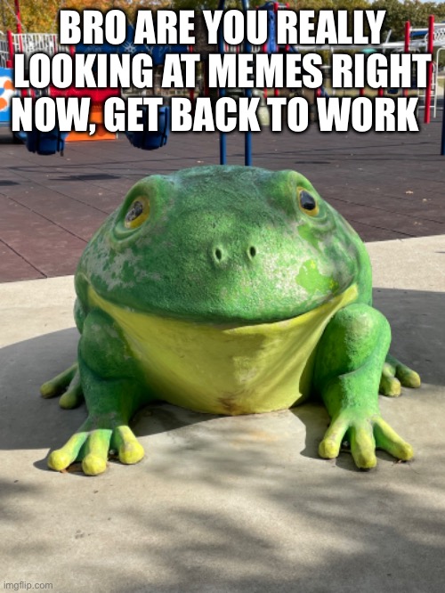 Disappointed frog | BRO ARE YOU REALLY LOOKING AT MEMES RIGHT NOW, GET BACK TO WORK | image tagged in meme,frogs,get,to,work | made w/ Imgflip meme maker