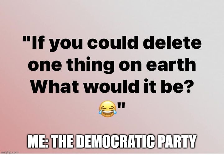 The Democratic Party | ME: THE DEMOCRATIC PARTY | image tagged in the democratic party | made w/ Imgflip meme maker