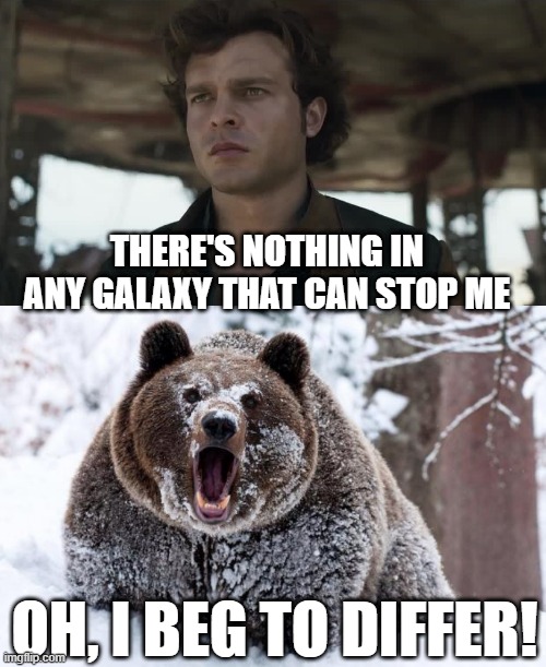 When You See the Movie... | THERE'S NOTHING IN ANY GALAXY THAT CAN STOP ME; OH, I BEG TO DIFFER! | image tagged in cocaine bear | made w/ Imgflip meme maker