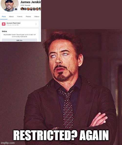 450 till I die... Or whatever | RESTRICTED? AGAIN | image tagged in 450 till i die or whatever | made w/ Imgflip meme maker