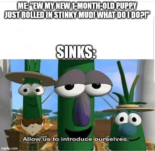 Allow us to introduce ourselves. | ME: "EW MY NEW 1-MONTH-OLD PUPPY JUST ROLLED IN STINKY MUD! WHAT DO I DO?!"; SINKS: | image tagged in allow us to introduce ourselves | made w/ Imgflip meme maker