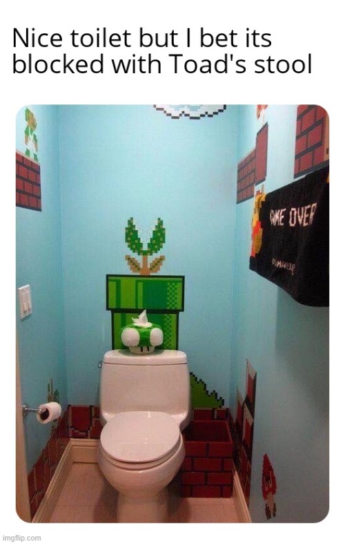 This is a jobby for Mario and Luigi | image tagged in you had one job,toilet,nintendo,memes,funny,gaming | made w/ Imgflip meme maker