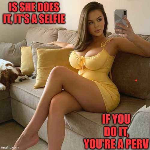 Yeah, I'm a perv, too | IS SHE DOES IT, IT'S A SELFIE; IF YOU DO IT, YOU'RE A PERV | image tagged in simone goodall | made w/ Imgflip meme maker
