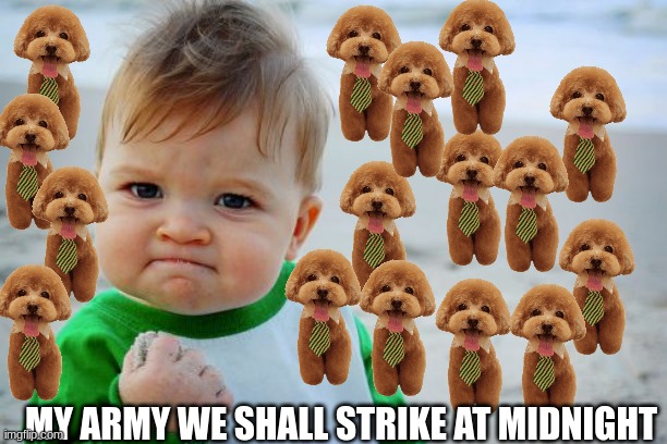 i dare you to me mad while looking at this masterpiece | MY ARMY WE SHALL STRIKE AT MIDNIGHT | image tagged in memes,success kid original,cute puppies | made w/ Imgflip meme maker