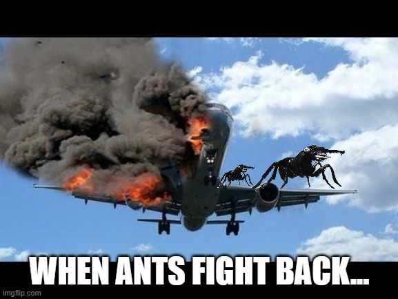 when ants fight back | WHEN ANTS FIGHT BACK... | image tagged in plane crash,ants | made w/ Imgflip meme maker