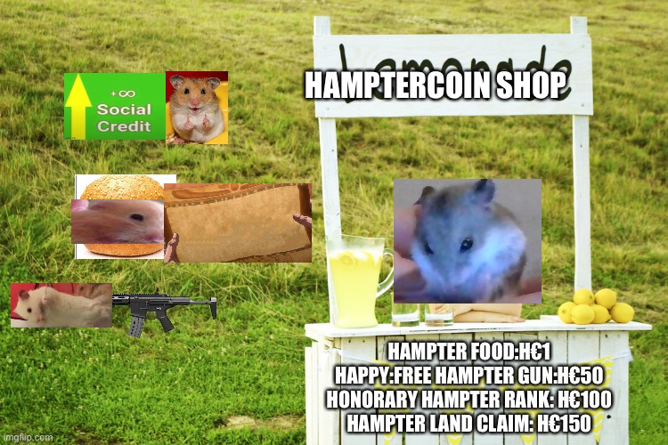 get 50 H€ | HAMPTERCOIN SHOP; HAMPTER FOOD:H€1
HAPPY:FREE HAMPTER GUN:H€50 HONORARY HAMPTER RANK: H€100
HAMPTER LAND CLAIM: H€150 | image tagged in lemonade stand | made w/ Imgflip meme maker