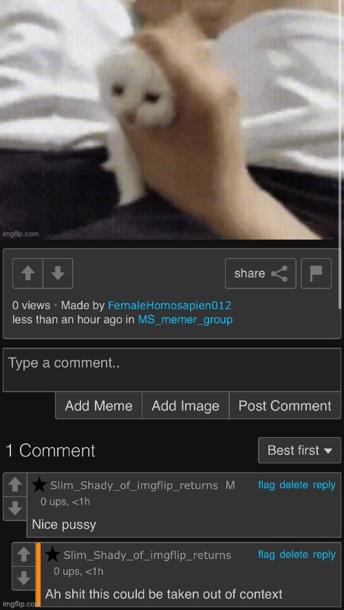 made w/ Imgflip meme maker