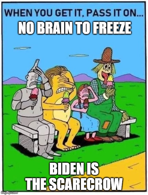 Biden Is The Scarecrow | NO BRAIN TO FREEZE; BIDEN IS THE SCARECROW | image tagged in biden is the scarecrow | made w/ Imgflip meme maker
