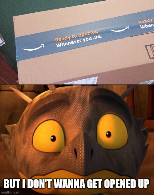 Kinda creepy | BUT I DON'T WANNA GET OPENED UP | image tagged in shocked cutter,amazon | made w/ Imgflip meme maker