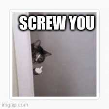 i dont like u | SCREW YOU | image tagged in gifs | made w/ Imgflip images-to-gif maker