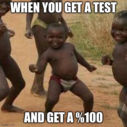 WHAT! | WHEN YOU GET A TEST; AND GET A %100 | image tagged in memes,third world success kid | made w/ Imgflip meme maker