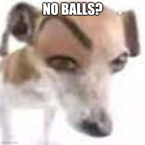 NO BALLS? | made w/ Imgflip meme maker
