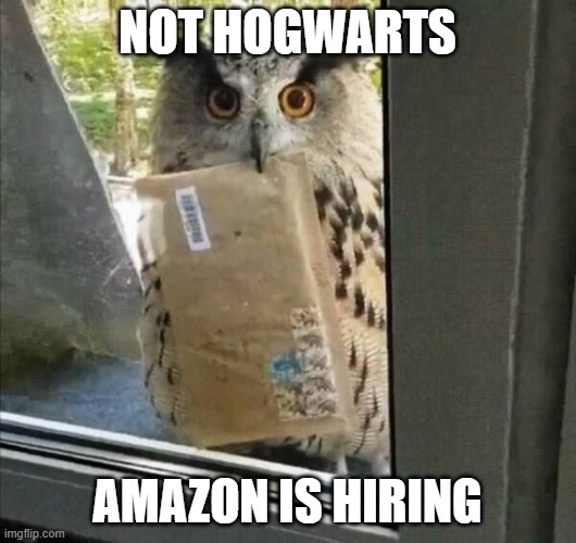 Not Hogwarts | NOT HOGWARTS; AMAZON IS HIRING | image tagged in not hogwarts | made w/ Imgflip meme maker