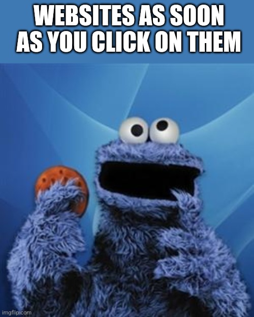 I feel like this has been made before, if so, show yourself and let me credit you. | WEBSITES AS SOON AS YOU CLICK ON THEM | image tagged in cookie monster,websites | made w/ Imgflip meme maker