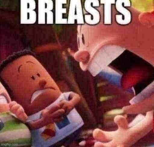 BREASTS | image tagged in breasts | made w/ Imgflip meme maker
