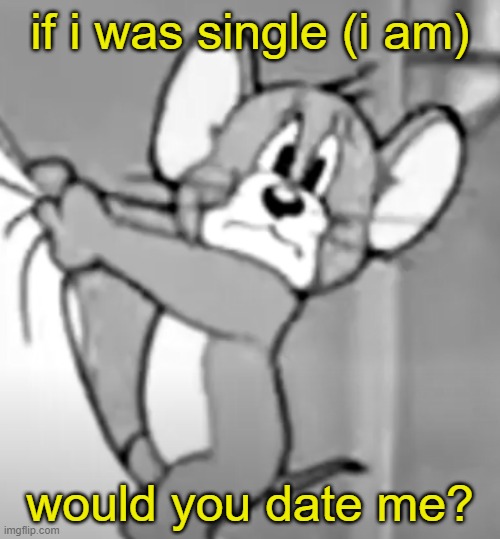 awww the skrunkly | if i was single (i am); would you date me? | image tagged in awww the skrunkly | made w/ Imgflip meme maker