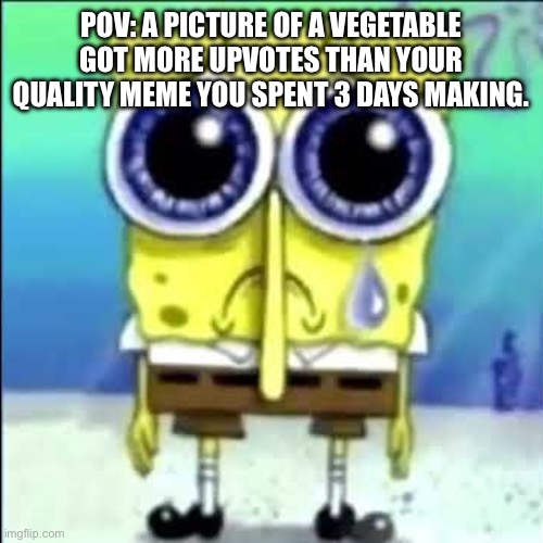 One time happened to me | POV: A PICTURE OF A VEGETABLE GOT MORE UPVOTES THAN YOUR QUALITY MEME YOU SPENT 3 DAYS MAKING. | image tagged in sad spongebob | made w/ Imgflip meme maker