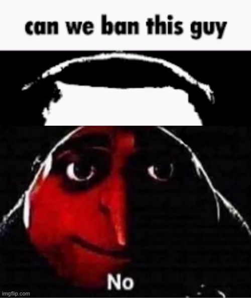 you can't just ban someone for being annoying.  That's lgbtq stream talk. | image tagged in can we ban this guy,gru no | made w/ Imgflip meme maker