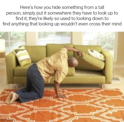 For short people it would be the opposite | Here's how you hide something from a tall person, simply put it somewhere they have to look up to find it, they're likely so used to looking down to find anything that looking up wouldn't even cross their mind | image tagged in searching | made w/ Imgflip meme maker