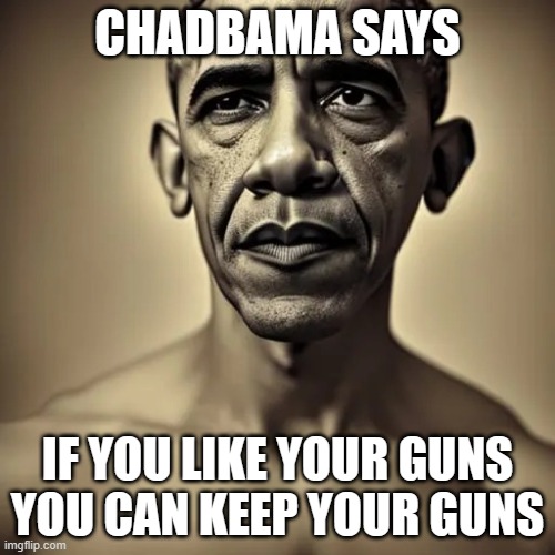 Chadbama says if you like your guns you can keep your guns. | CHADBAMA SAYS; IF YOU LIKE YOUR GUNS YOU CAN KEEP YOUR GUNS | image tagged in chadbama | made w/ Imgflip meme maker