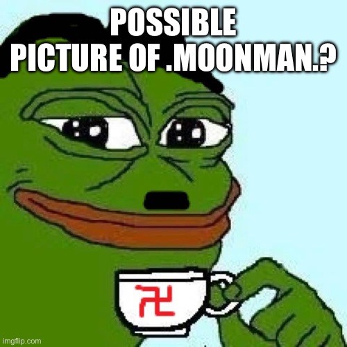 pepe nazi | POSSIBLE PICTURE OF .MOONMAN.? | image tagged in pepe nazi | made w/ Imgflip meme maker