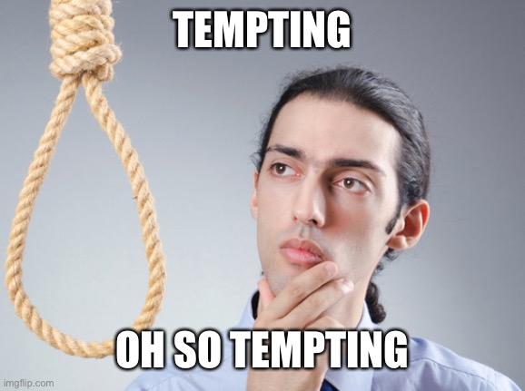 noose | TEMPTING OH SO TEMPTING | image tagged in noose | made w/ Imgflip meme maker