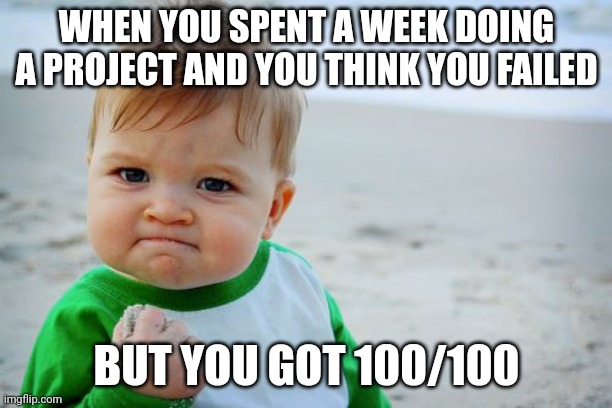 Haha take that science class! | WHEN YOU SPENT A WEEK DOING A PROJECT AND YOU THINK YOU FAILED; BUT YOU GOT 100/100 | image tagged in memes,success kid original,school | made w/ Imgflip meme maker