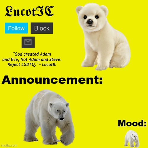 polar bear. | image tagged in lucotic polar bear announcement temp v2 | made w/ Imgflip meme maker