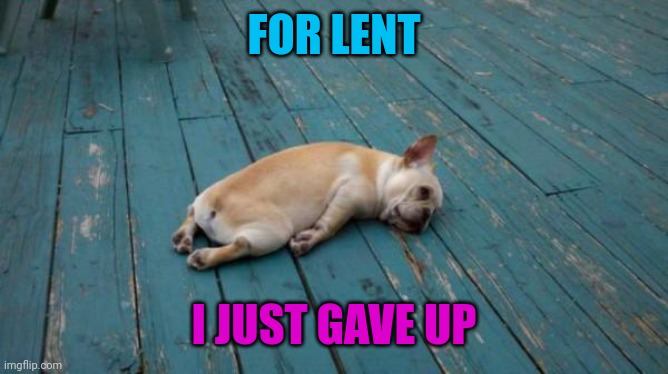 tired dog | FOR LENT I JUST GAVE UP | image tagged in tired dog | made w/ Imgflip meme maker