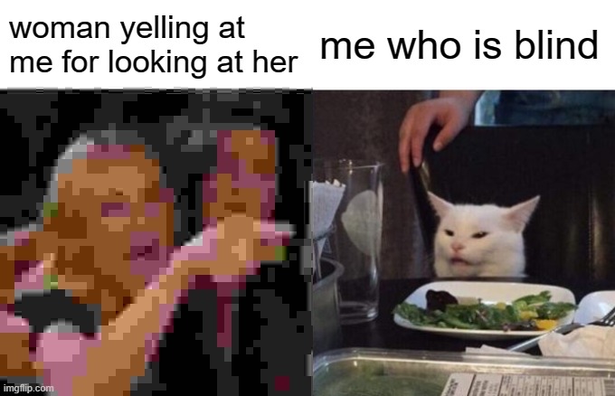 BLIND | woman yelling at me for looking at her; me who is blind | image tagged in meme,blind,two women yelling at a cat | made w/ Imgflip meme maker