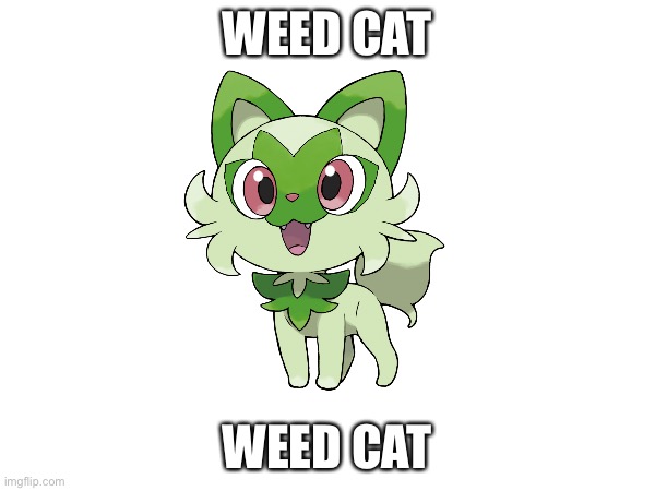 WEED CAT; WEED CAT | made w/ Imgflip meme maker