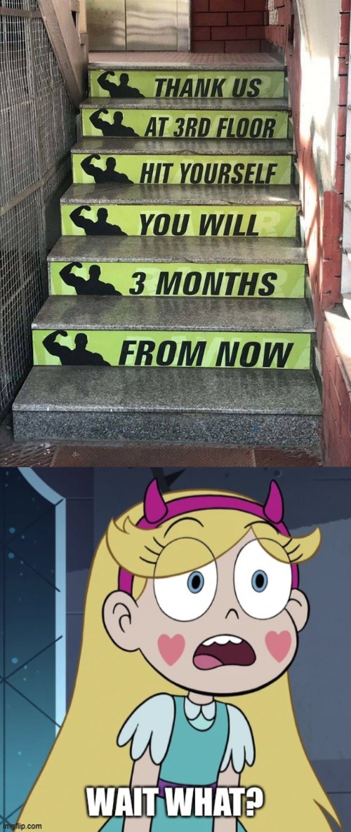 What?!?! | image tagged in star butterfly wait what,star vs the forces of evil,you had one job,failure,stairs,memes | made w/ Imgflip meme maker