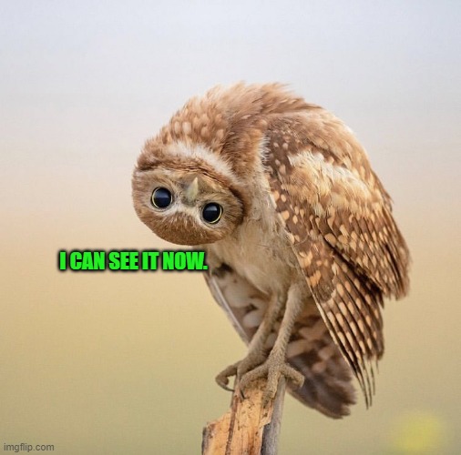 Upside down owl look | I CAN SEE IT NOW. | image tagged in upside down owl look | made w/ Imgflip meme maker