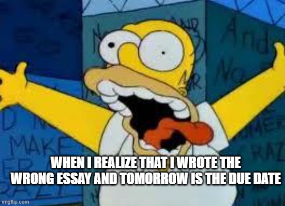 Homer Going Crazy | WHEN I REALIZE THAT I WROTE THE WRONG ESSAY AND TOMORROW IS THE DUE DATE | image tagged in homer going crazy | made w/ Imgflip meme maker
