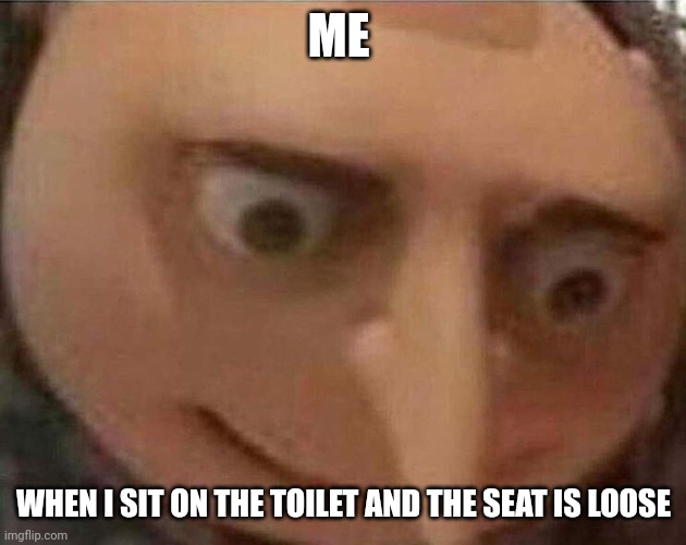 Loose toilet seat!!!! | ME; WHEN I SIT ON THE TOILET AND THE SEAT IS LOOSE | image tagged in gru meme | made w/ Imgflip meme maker