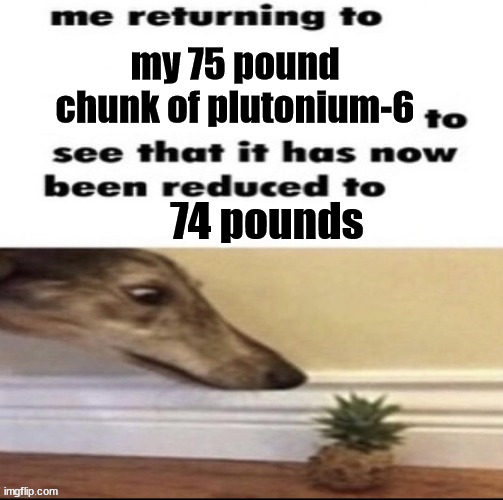 ║♦► | my 75 pound chunk of plutonium-6; 74 pounds | image tagged in me returning to to see that it has now been reduced to | made w/ Imgflip meme maker