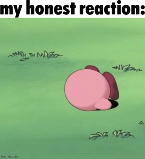 image tagged in my honest reaction | made w/ Imgflip meme maker
