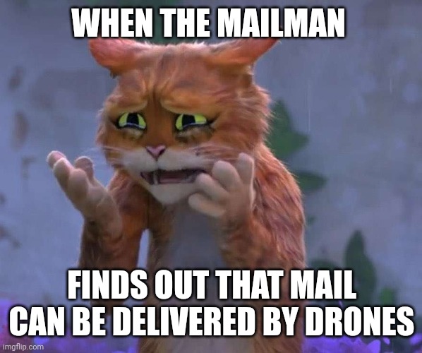 Drone delivery has to be stopped!!!! | WHEN THE MAILMAN; FINDS OUT THAT MAIL CAN BE DELIVERED BY DRONES | image tagged in puss in boots cry | made w/ Imgflip meme maker