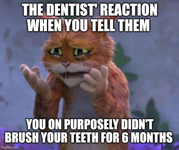 I did that one time | THE DENTIST' REACTION WHEN YOU TELL THEM; YOU ON PURPOSELY DIDN'T BRUSH YOUR TEETH FOR 6 MONTHS | image tagged in puss in boots cry | made w/ Imgflip meme maker