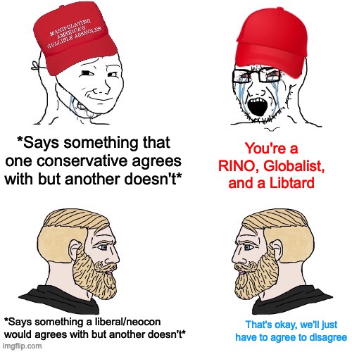 Maga wojaks vs. yes chad | *Says something that one conservative agrees with but another doesn't* You're a RINO, Globalist, and a Libtard *Says something a liberal/neo | image tagged in maga wojaks vs yes chad | made w/ Imgflip meme maker