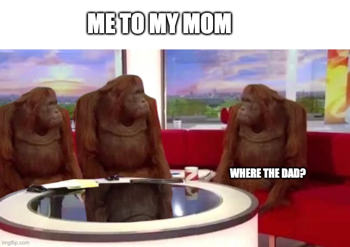Where? | ME TO MY MOM; WHERE THE DAD? | image tagged in where monkey,dad,funny,fun | made w/ Imgflip meme maker