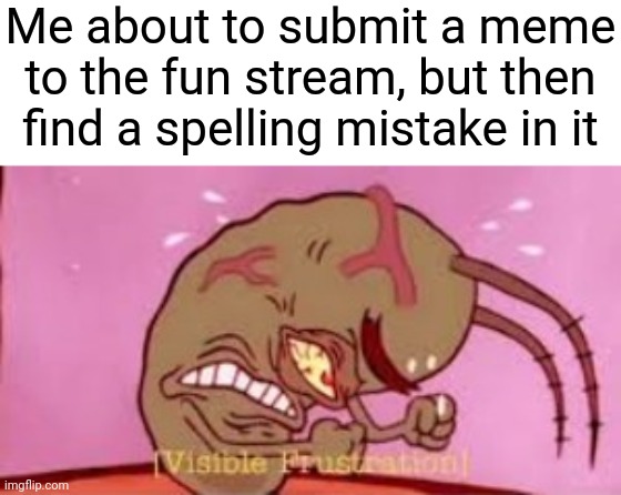Why? | Me about to submit a meme to the fun stream, but then find a spelling mistake in it | image tagged in visible frustration,memes | made w/ Imgflip meme maker