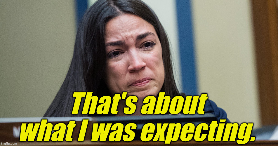 aoc Crocodile Tears | That's about what I was expecting. | image tagged in aoc crocodile tears | made w/ Imgflip meme maker