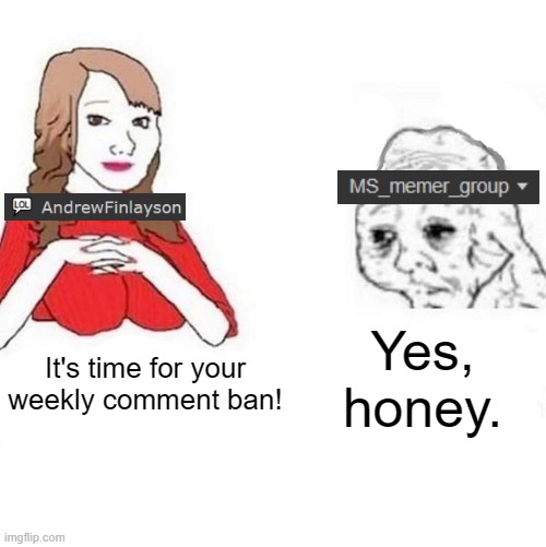 Insanity. | Yes, honey. It's time for your weekly comment ban! | made w/ Imgflip meme maker