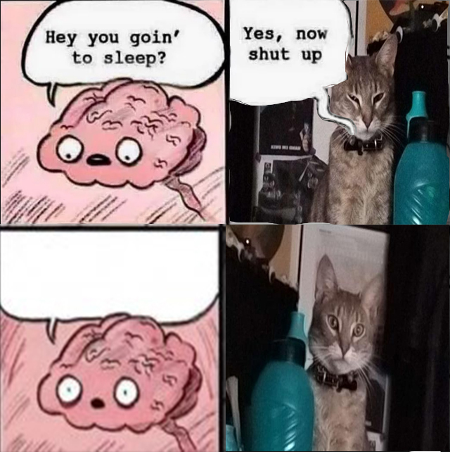 High Quality Sleepy cat Gurdjieff Blank Meme Template