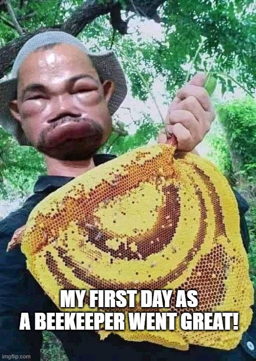 Love my new job. Co-workers suck tho... | MY FIRST DAY AS A BEEKEEPER WENT GREAT! | image tagged in beekeeper | made w/ Imgflip meme maker